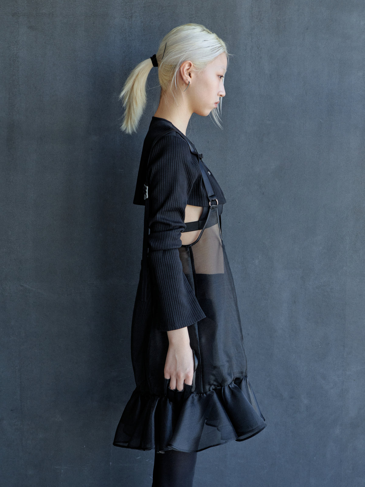 sheer corset mini dress